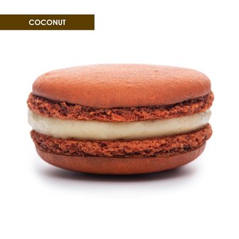 Coconut (64 Stück)